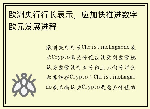 欧洲央行行长表示，应加快推进数字欧元发展进程